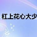 杠上花心大少小说免费阅读（杠上花心总裁）