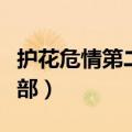 护花危情第二部分集剧情介绍（护花危情第二部）