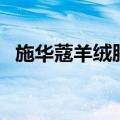 施华蔻羊绒脂深棕色（施华蔻羊绒脂系列）