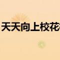 天天向上校花校草舞蹈（天天向上 校花校草）