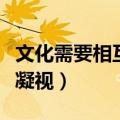 文化需要相互凝视的论证思路（文化需要相互凝视）