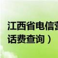 江西省电信营业厅电话（江西电信网上营业厅话费查询）