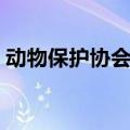 动物保护协会的会徽是什么（动物保护协会）