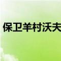 保卫羊村沃夫沼泽攻略（保卫羊村沃夫沼泽）