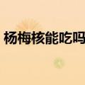 杨梅核能吃吗蚂蚁农场答案（杨梅核能吃吗）