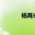 杨再兴的孙子（杨再兴之子）