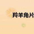 羚羊角片煮水正确用法（羚羊角片）