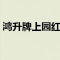 鸿升牌上园红胶囊功效（鸿升牌上园红胶囊）