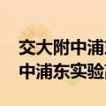 交大附中浦东实验高中分数线2022（交大附中浦东实验高中）
