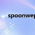 spoonwep wpa2（spoonwep wpa）