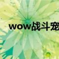 wow战斗宠物有什么用（wow战斗宠物）