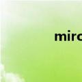 miro米罗轮毂（米罗轮毂）