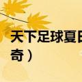 天下足球夏日传奇在线观看（天下足球夏日传奇）