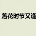 落花时节又逢君的上一句（落花时节又逢君）