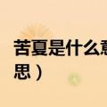 苦夏是什么意思用英语怎么说（苦夏是什么意思）