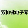 双排键电子琴价格多少（双排键电子琴价格）