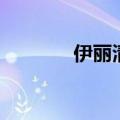 伊丽清主要治什么（伊丽清）