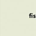 fishdo微博（fish do）