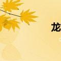 龙bt发布（龙bt发布）