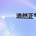 浩然正气丸作品集（浩然正气丸）