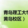 青岛理工大学黄岛校区平面图（青岛理工大学黄岛校区）