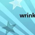 wrinkleresist24资生堂spf15