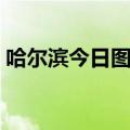 哈尔滨今日图灵软件学校（哈尔滨今日图灵）