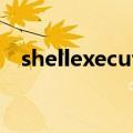 shellexecutehooks没有那个正常的键值