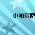 小帕尔萨斯蛋怎么得（小帕尔萨斯）