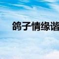鸽子情缘谐音歌词正规（鸽子情缘谐音）