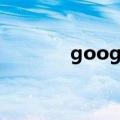 google s版本（google sb）