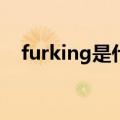 furking是什么意思（fu c k是什么意思）