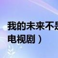我的未来不是梦电视剧全集（我的未来不是梦电视剧）
