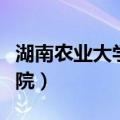 湖南农业大学工学院专业（湖南农业大学工学院）