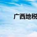 广西地税网上税务局（广西地税网）