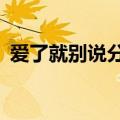 爱了就别说分手 dj 阿圣（爱了就别说分手）