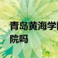 青岛黄海学院怎么样?护士专业能分到山大附院吗