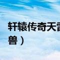轩辕传奇天雷兽坐骑精元必出（轩辕传奇天雷兽）