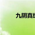 九阴真经黄点（九阴真经邪标签）