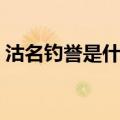 沽名钓誉是什么意思呢（沽名钓誉什么意思）