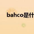 bahco是什么牌子（bacou是什么牌子）