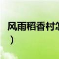 风雨稻香村怎么开剧情（风雨稻香村前置任务）