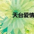 天台爱情票房排行（天台爱情票房）