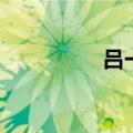 吕一的老公（吕一男友）
