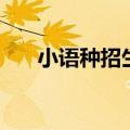 小语种招生考试考什么（小语种招生）