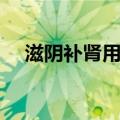 滋阴补肾用什么泡水喝最好（滋阴补肾）