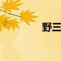 野三坡足疗（野三坡小姐）