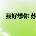 我好想你 苏打绿歌词（我好想你 苏打绿）