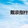 戴宗指什么生肖（戴宗属什么生肖）