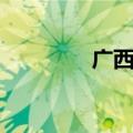 广西平南三桥（广西平南）